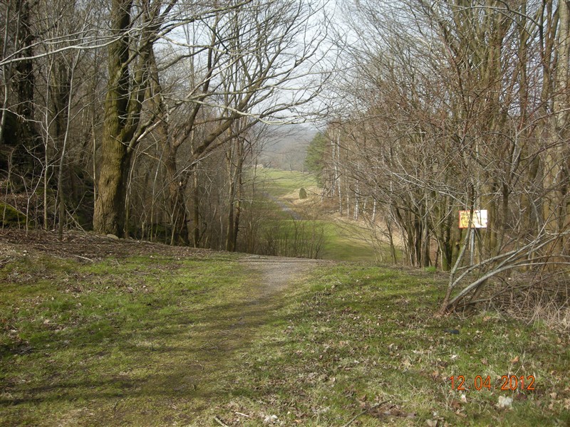 DSCN0710.JPG