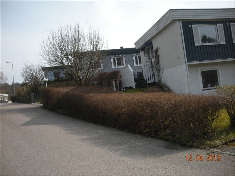 DSCN0717.JPG