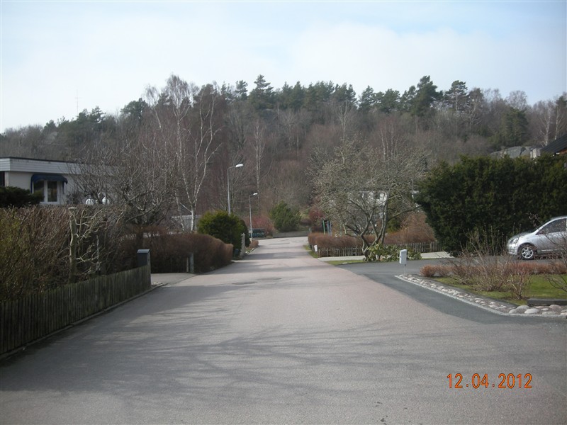 DSCN0720.JPG