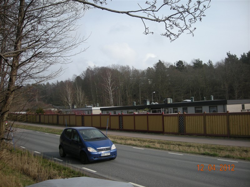 DSCN0729.JPG