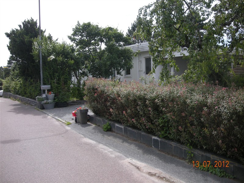 DSCN0891.JPG
