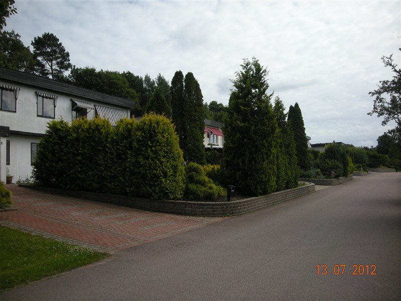 DSCN0917.JPG