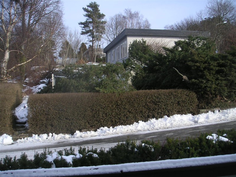 PICT1831.JPG